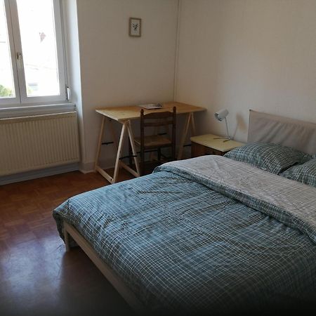 Appartement Entier, Proche Tram-Train Et Commodites, Parking Gratuit Мюлуз Экстерьер фото