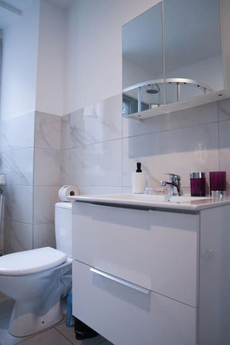 Appartement Entier, Proche Tram-Train Et Commodites, Parking Gratuit Мюлуз Экстерьер фото