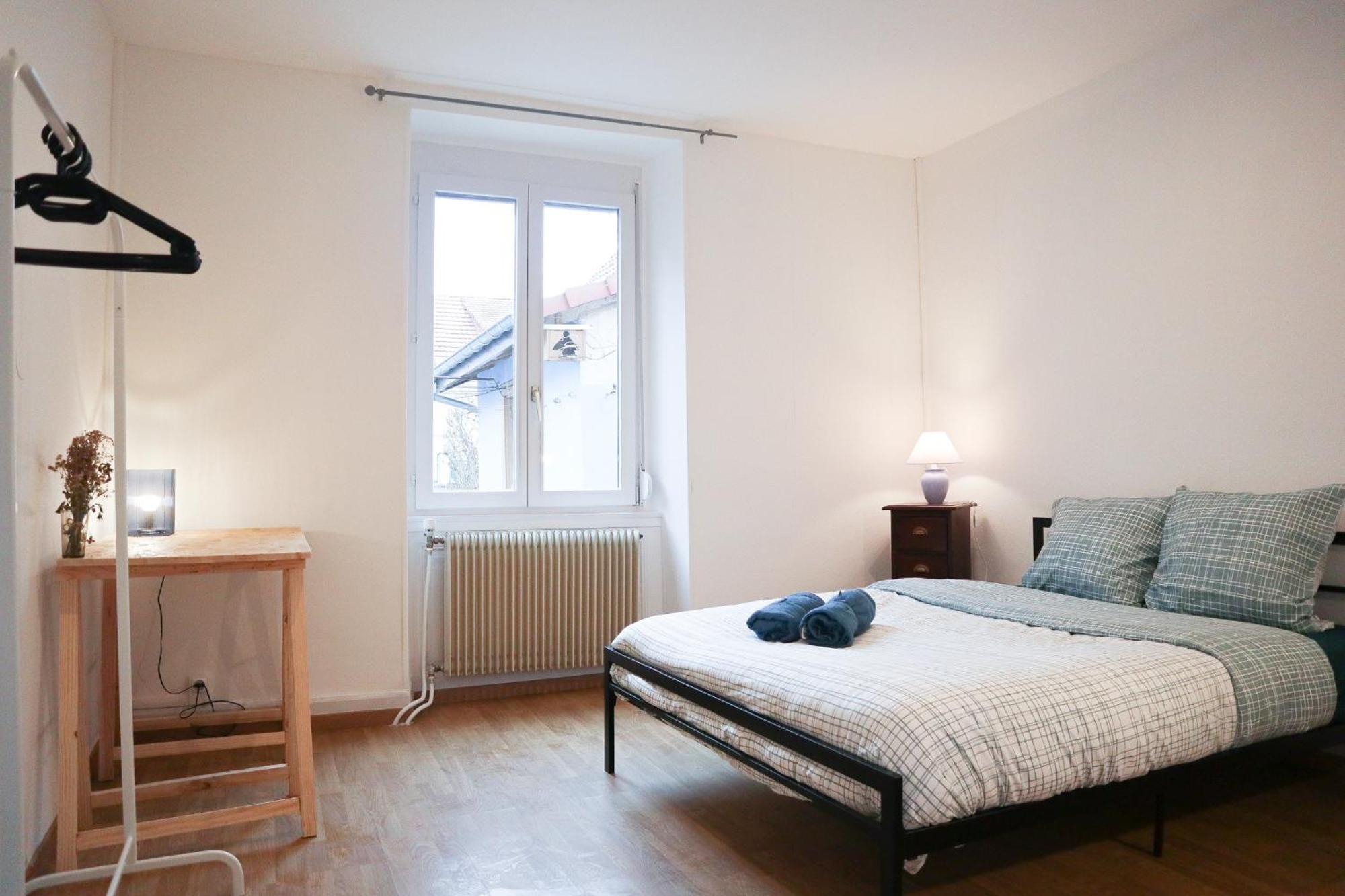 Appartement Entier, Proche Tram-Train Et Commodites, Parking Gratuit Мюлуз Экстерьер фото